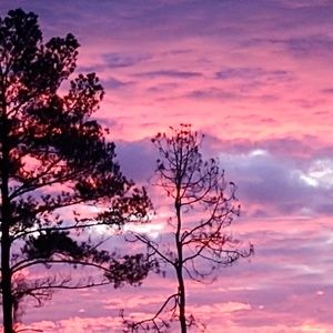 Meet your Posher, Joanne